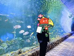 -华夏文旅海洋公园