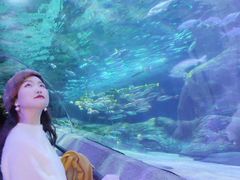 -大连圣亚海洋世界