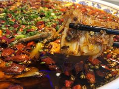 -新概念来凤鱼(璧山店)