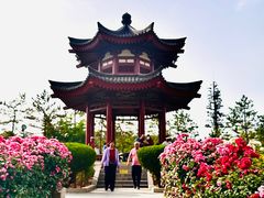-大慈恩寺(大雁塔)