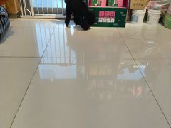 -精灵岛宠物生活馆(洪泽花园店)