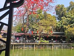 -侨美·唐荔园·40年地道粤菜