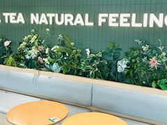 -森茶(湛江万达店)