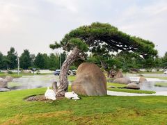 -罗红摄影艺术馆