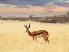 -爱语阳光(解放店)