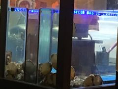 -千代武日本料理(爱建店)