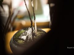 -悟饮门市景店