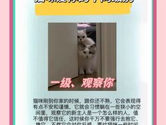 -美联众合动物医院·24h转诊中心