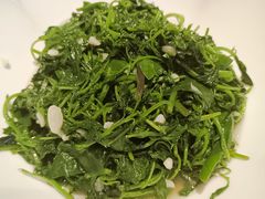 -巴人堂(女儿城店)