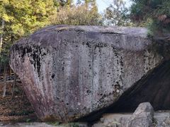 景点-大围山国家森林公园