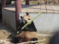 -杭州野生动物世界