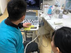 -创凡宠物医院·骨专科  猫科中心(西乡分院)