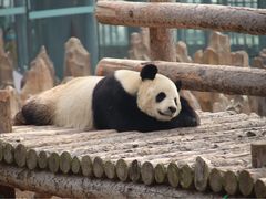 -大连森林动物园