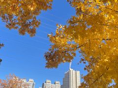 -牛八宝桂林米粉(八里庄店)