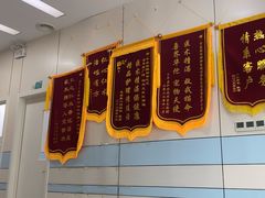 -中农国际动物医院24小时·猫科·骨科·急重症中心