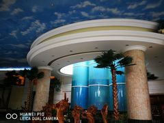 -广州科尔海悦酒店