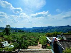 -观清澜疗愈民宿(龙泉山风景区店)