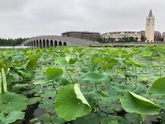 -浙江大学(海宁国际校区)