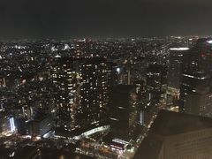 -东京都厅舍