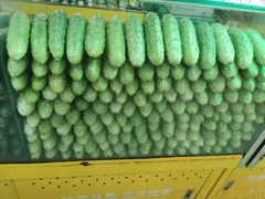 -新隆嘉生鲜超市(北二经街店)