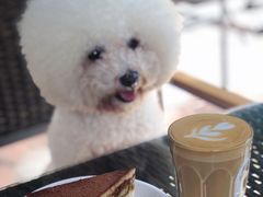 -旧雨咖啡·CoffeeFORU(黄村奥体店)