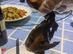 乳鸽-石岐乳鸽村(南海第三分店)