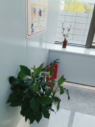 点击看大图 -悟空祛痘·诺奖技术专业店