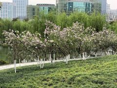 -后襄河公园