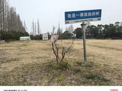 -上海长兴岛郊野公园