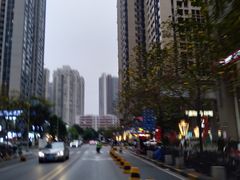 -杨箕村B区