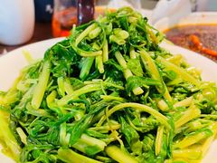 清炒空心菜-马头巷·食景园(苏州总店)