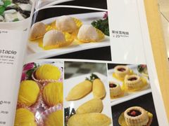 -天津医科大学第二医院