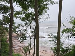 -燕儿岛山公园