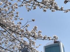 -西北湖绿化广场