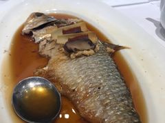-宝燕壹号(徐汇店)