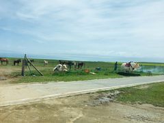 -青海湖国家重点风景名胜区