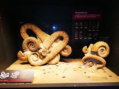 -贝林大翅鲸简餐厅(国家海洋博物馆店)