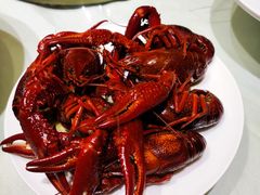 -宝燕壹号(徐汇店)
