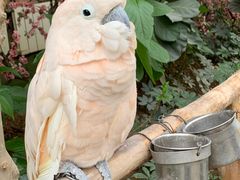 -南宫五洲植物乐园