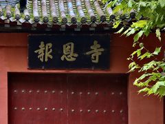 -报恩寺(平武县)