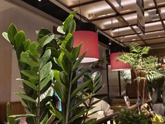 -老阿爸鲜鱼土菜(独墅湖店)