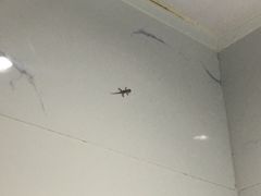 -JOYA湾悦国际酒店(世界之窗店)