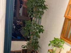 -瓦舍茶馆(聚源路店)