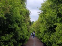 -金谷域澳洲庄园