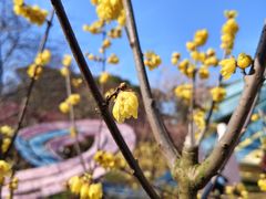 -无锡梅园公园