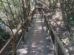 -广州白江湖森林公园