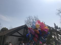 -上海海湾国家森林公园