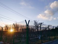 -首都师范大学(良乡校区)