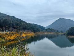 -广州市石门国家森林公园