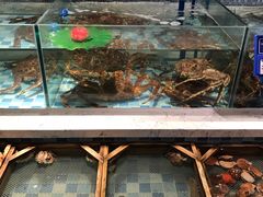 -蓝海大饭店·渔歌舫(黄岛店)
